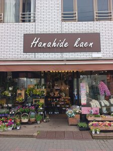 店舗画像１