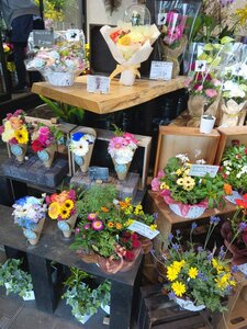 店舗画像２