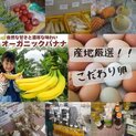 店舗画像２